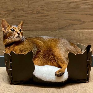 ADJ Лежанка Cat, 45x30xH15 см., цвет: капучино/шоколад ADJ Лежанка Cat, 45x30xH15 см., цвет: капучино/шоколад