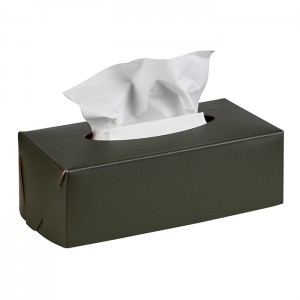 ADJ Салфетница Kleenex, 23x12xH7,5 см., цвет: оливковый/горчичный ADJ Салфетница Kleenex, 23x12xH7,5 см., цвет: оливковый/горчичный